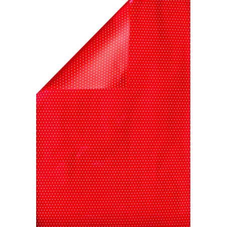 Papier nacré "pois" recto verso 80 x 40 cm 35 µ