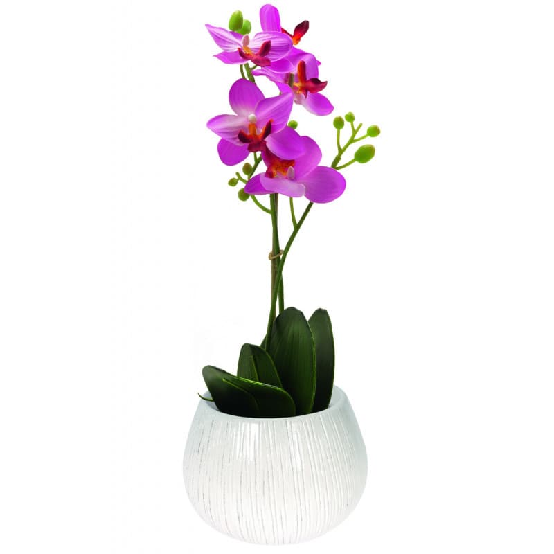 Pot phaléno céramique D. 13 x H. 13 cm Pot phaléno céramique D. 13 x H. 13 cm
