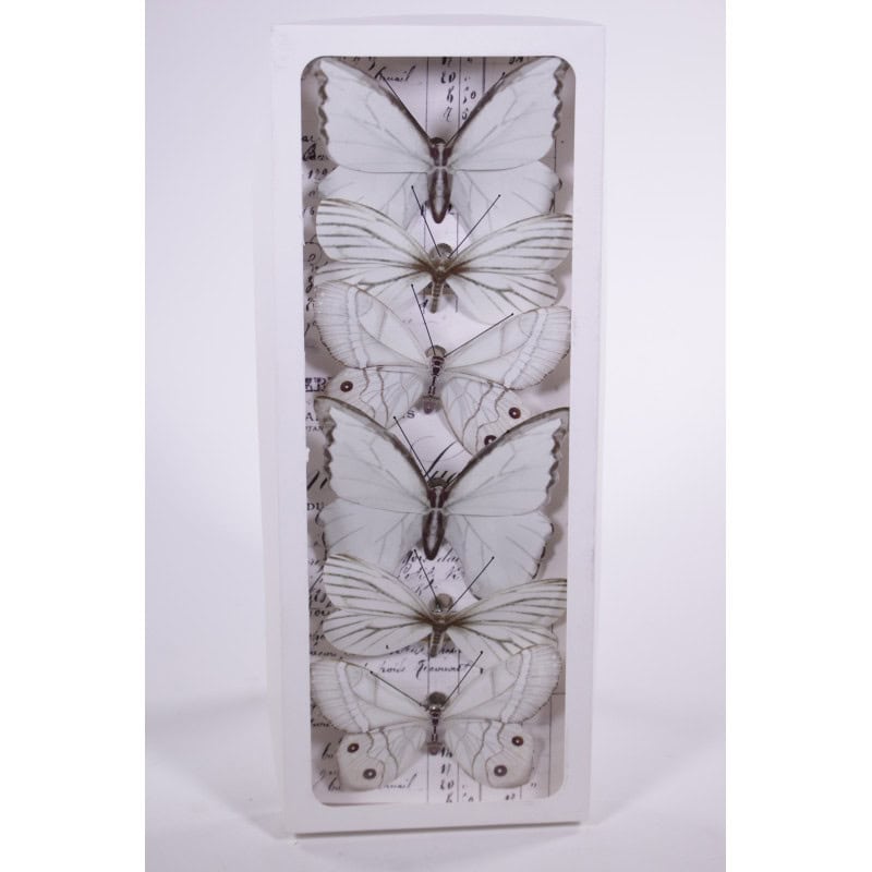 Papillons sur pic blanc Papillons sur pic blanc