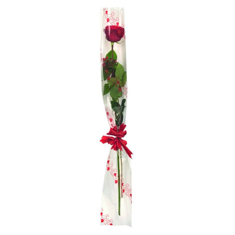 Etui à rose nacré "Valentine" 16 x 100cm Etui à rose nacré "Valentine" 16 x 100cm