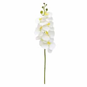Phalaeno 7 fleurs 90cm 2 couleurs - Grossiste fleurs artificielles
