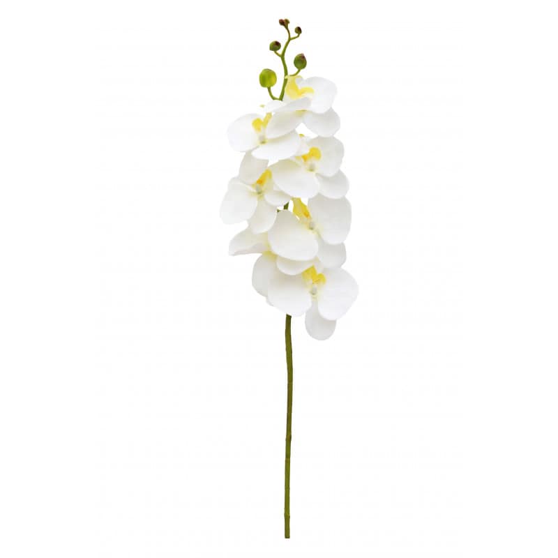 Phalaeno 7 fleurs 90cm 2 couleurs - Grossiste fleurs artificielles