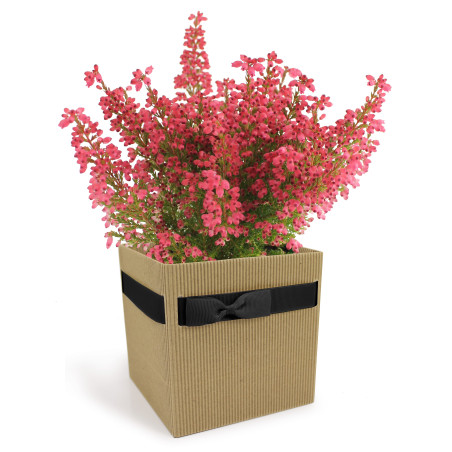 Boite carton Simply L. 12 x l. 12 x H. 12,5 cm