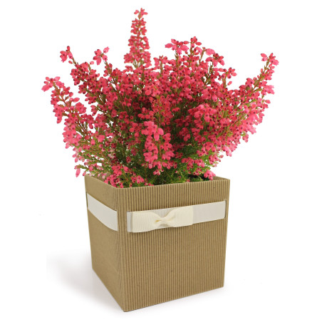 Boite carton Simply L. 12 x l. 12 x H. 12,5 cm