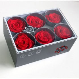 Boite de 6 têtes de rose éternelle standard plusieurs couleurs
