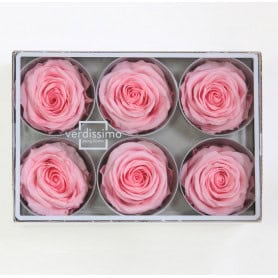 Boite de 6 têtes de rose éternelle standard plusieurs couleurs