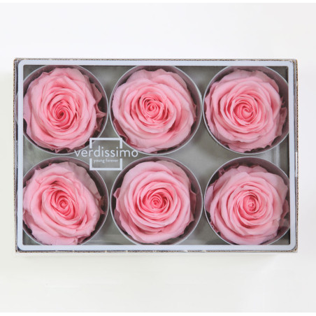 Boite de 6 têtes de rose éternelle standard plusieurs couleurs