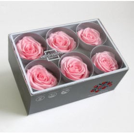 Boite de 6 têtes de rose éternelle standard plusieurs couleurs