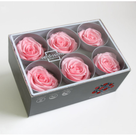 Boite de 6 têtes de rose éternelle standard plusieurs couleurs