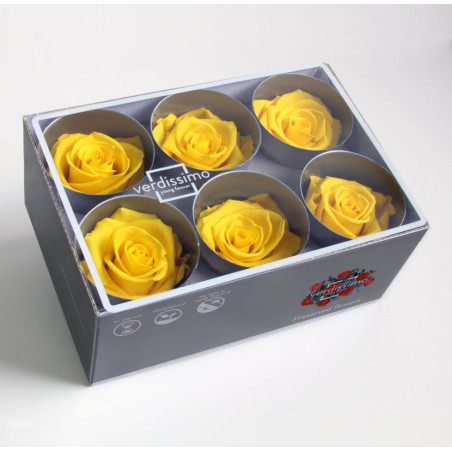 Boite de 6 têtes de rose éternelle standard plusieurs couleurs