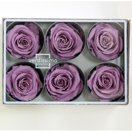 Boite de 6 têtes de rose éternelle standard plusieurs couleurs