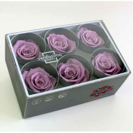 Boite de 6 têtes de rose éternelle standard plusieurs couleurs