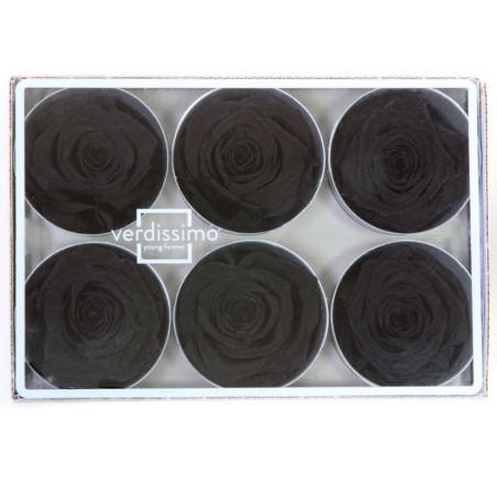 Boite de 6 têtes de rose éternelle standard plusieurs couleurs
