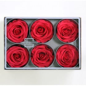 Boite de 6 têtes de rose éternelle standard plusieurs couleurs