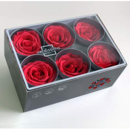 Boite de 6 têtes de rose éternelle standard plusieurs couleurs