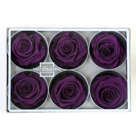 Boite de 6 têtes de rose éternelle standard plusieurs couleurs