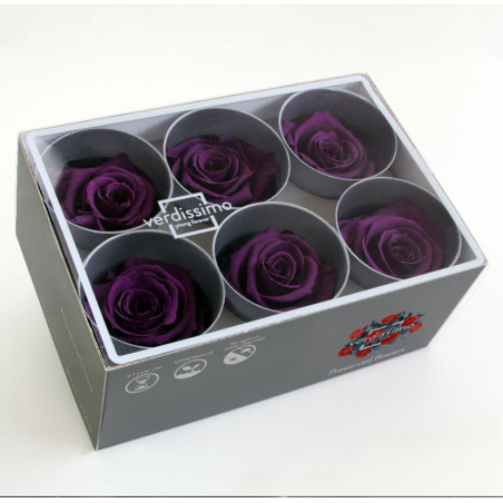 Boite de 6 têtes de rose éternelle standard plusieurs couleurs