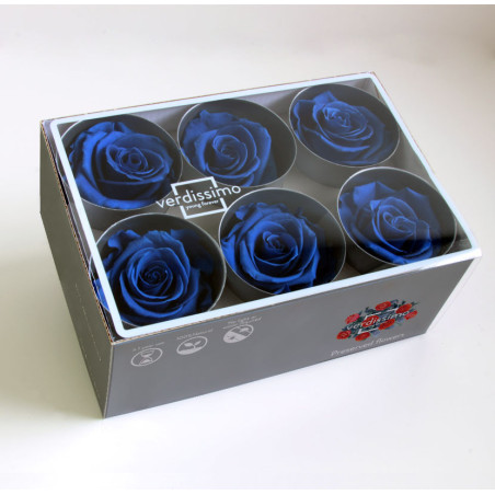 Boite de 6 têtes de rose éternelle standard plusieurs couleurs