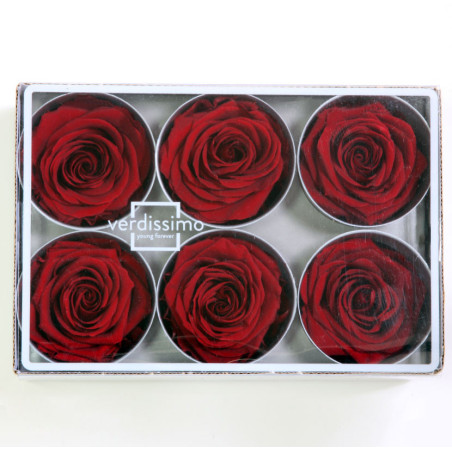 Boite de 6 têtes de rose éternelle standard plusieurs couleurs