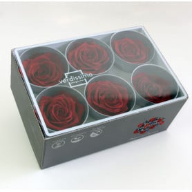 Boite de 6 têtes de rose éternelle standard plusieurs couleurs