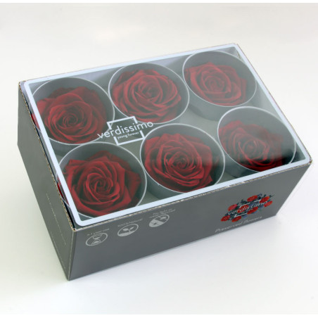 Boite de 6 têtes de rose éternelle standard plusieurs couleurs