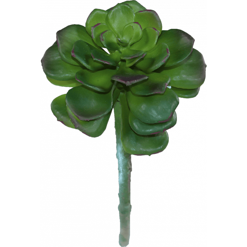 Succulente plante artificielle intérieur fourniture fleuriste Succulente plante artificielle intérieur fourniture fleuriste