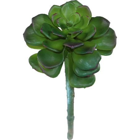 Succulente plante artificielle intérieur fourniture fleuriste