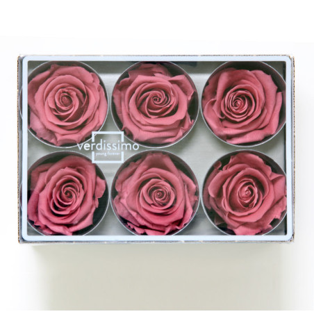 Boite de 6 têtes de rose éternelle standard plusieurs couleurs