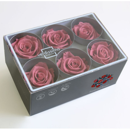 Boite de 6 têtes de rose éternelle standard plusieurs couleurs