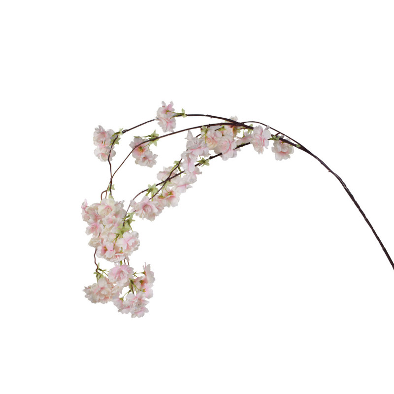 Branche de cerisier 