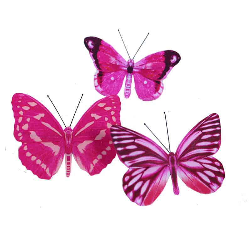 Papillon sur pince ou pic Butterflo - Grossiste fleuriste Papillon sur pince ou pic Butterflo - Grossiste fleuriste