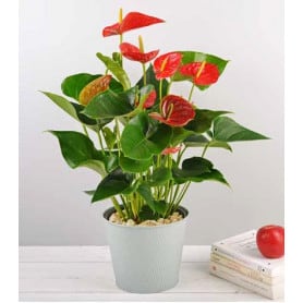 Pot de fleurs rond en zinc motif carbone Anthurium - materiel fleuriste