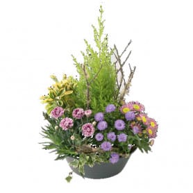 Coupe Horticole en plastique Emocia Coupe Horticole en plastique Emocia