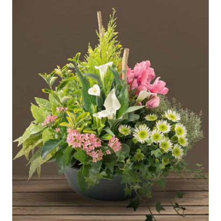 Coupe Horticole en plastique Emocia