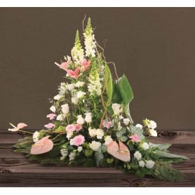 Raquette hydro 60cm mousse florale en barre - grossiste fleuriste