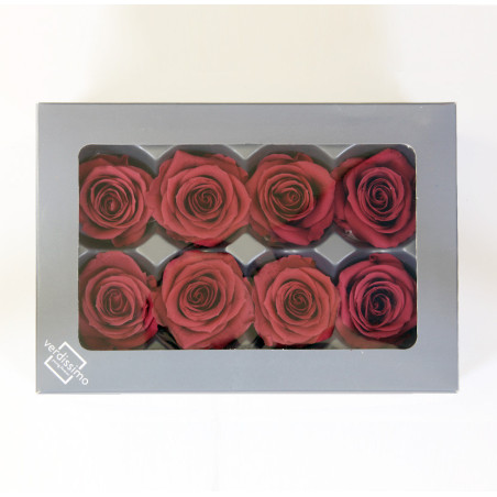 Boite de 6 têtes de rose éternelle standard plusieurs couleurs