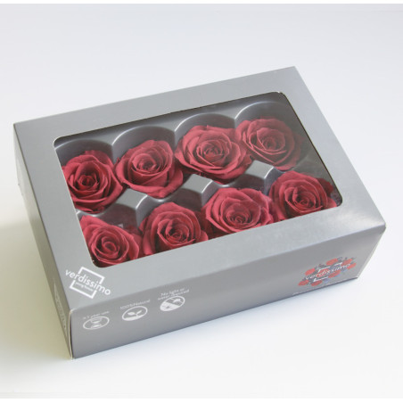 Boite de 6 têtes de rose éternelle standard plusieurs couleurs