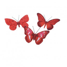 Papillons sur pic 6 cm Jilou - Grossiste fleuriste