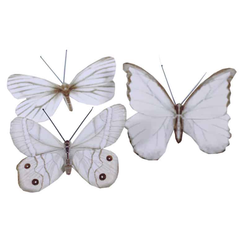Papillons sur clip 8cm Puye - Matériel fleuriste