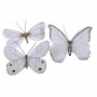 Papillons sur clip 8cm Puye