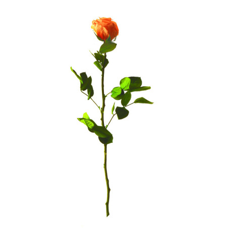 Rose éternelle tigée Amorosa 53cm - Plusieurs coloris