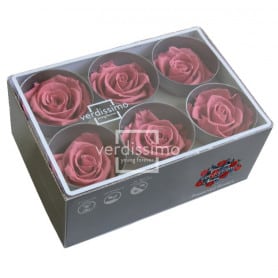 Boite de 6 têtes de rose éternelle standard plusieurs couleurs