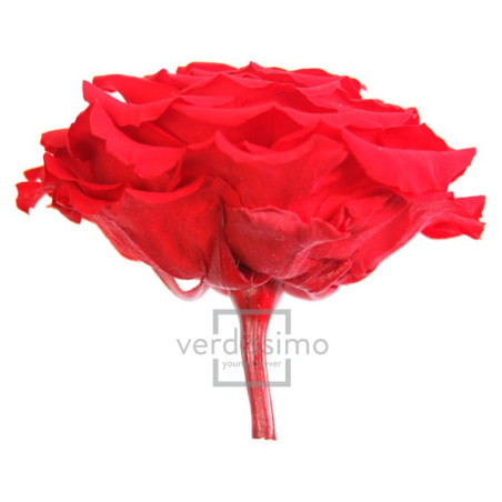 Tête de rose éternelle géante - grossiste en fournitures fleuristes