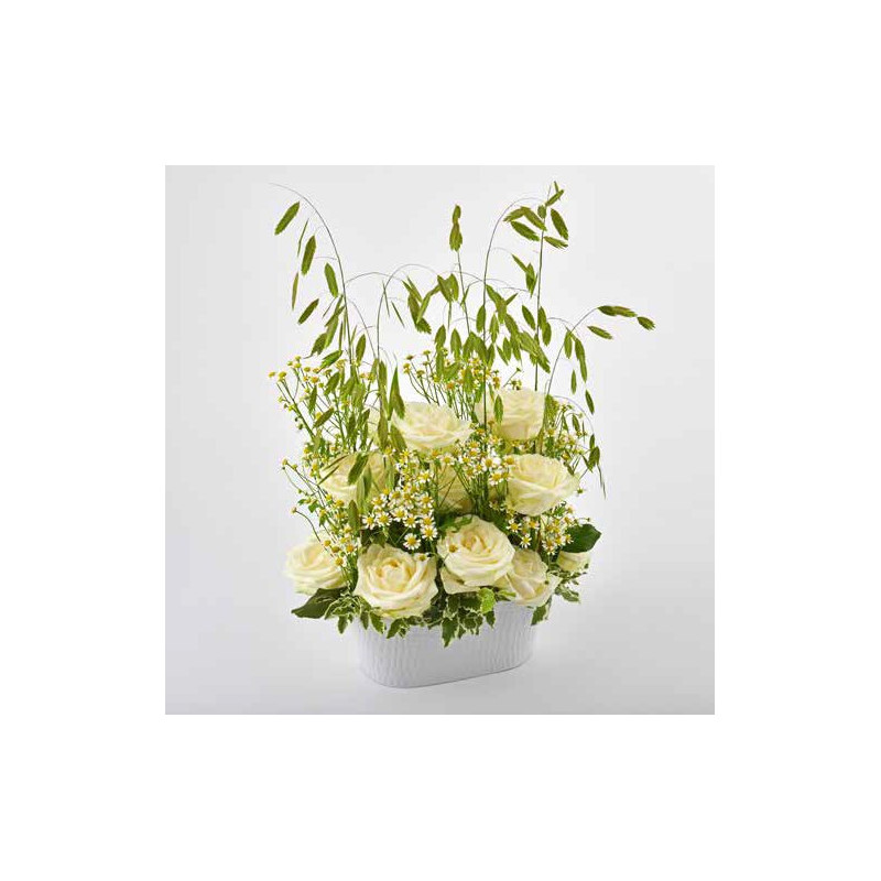 Jardinière en zinc ovale Nid d'Ange - grossiste fleuriste