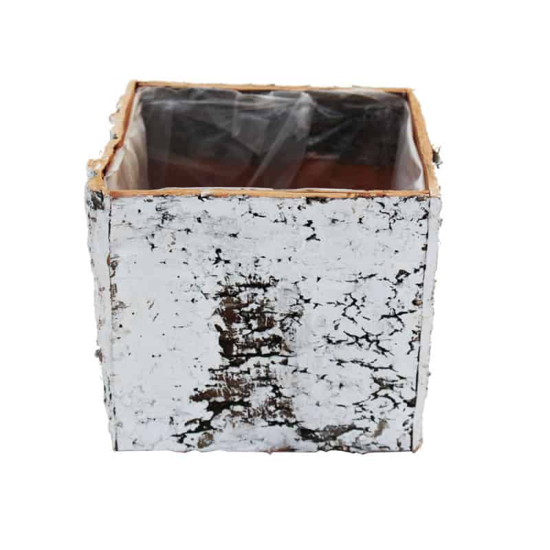 Pot carré écorce de bois blanchi contenant naturel - Grossiste ecorce Pot carré écorce de bois blanchi contenant naturel - Grossiste ecorce