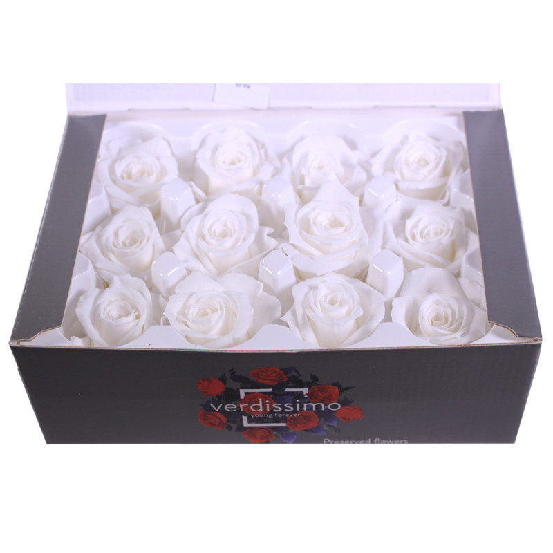 Boîte de 12 mini têtes de rose éternelle  - Grossiste fleuriste