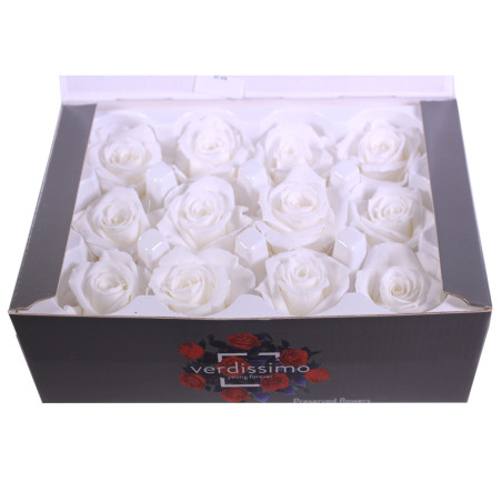 Boîte de 12 mini têtes de rose éternelle  - Grossiste fleuriste