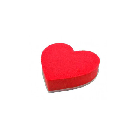 Coeur mousse florale Rainbow - mousse florale