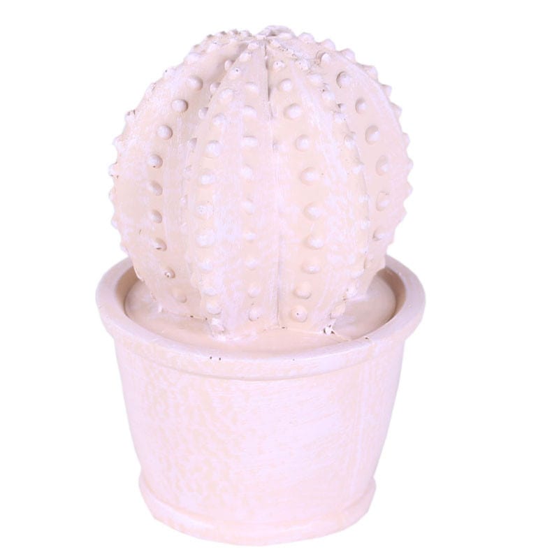 Cactus rose décoratif plusieurs modèles Cacysa - Grossiste fleuriste
