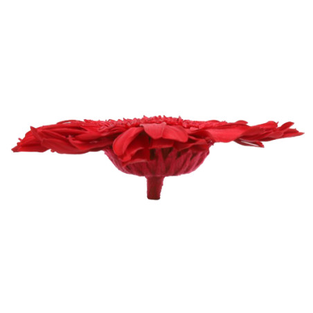 Boite de 4 têtes de Gerbera stabilisées standard - Renaud Distribution